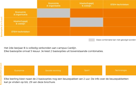 Keuzeschema 2de jaar B-stroom
